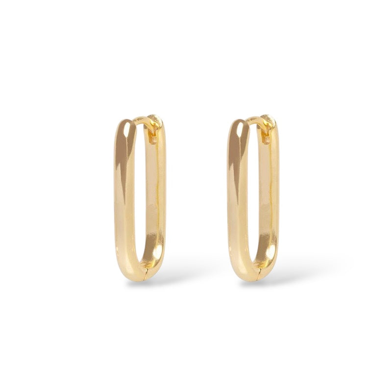 Aurora silver Earrings (Large)