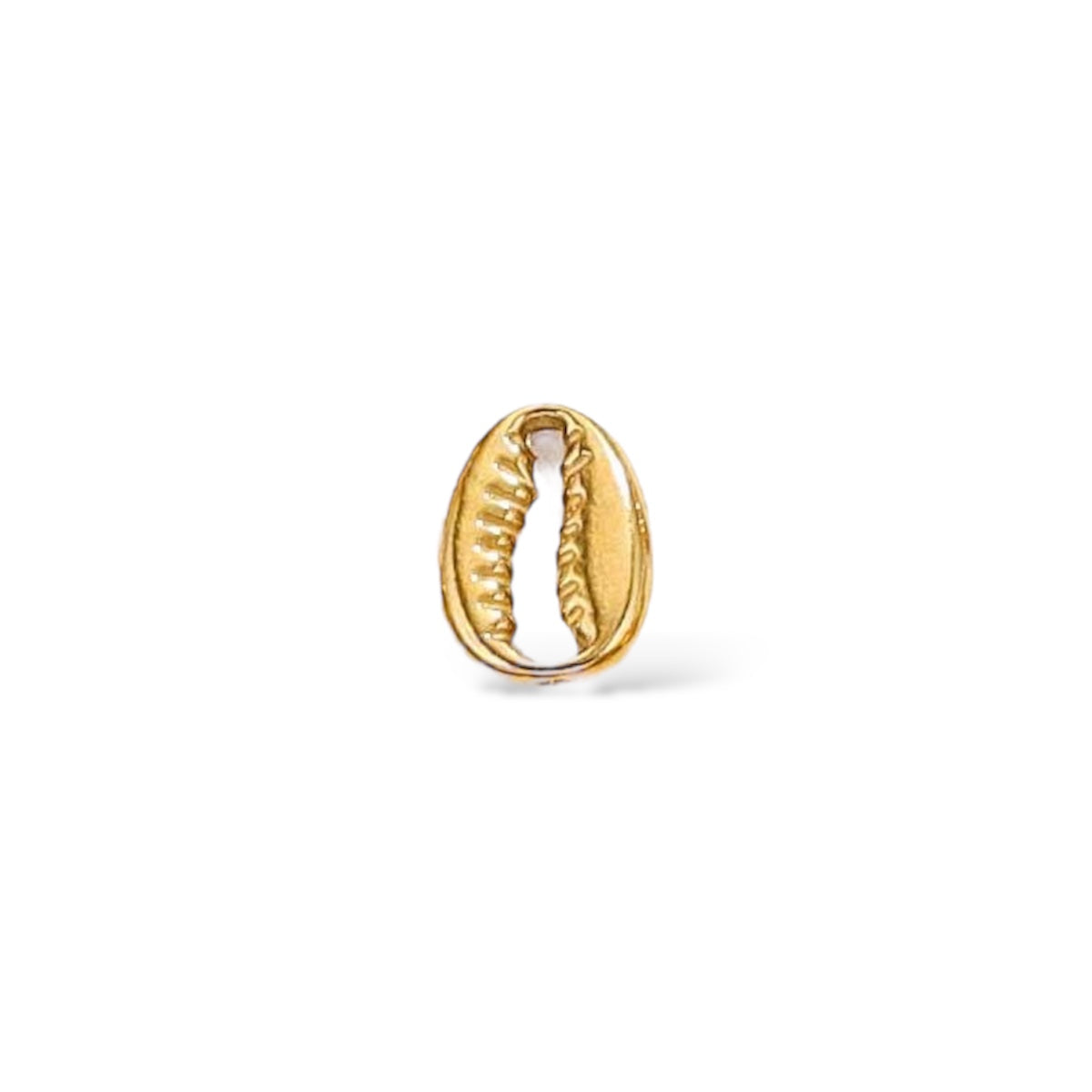 Shell Charm