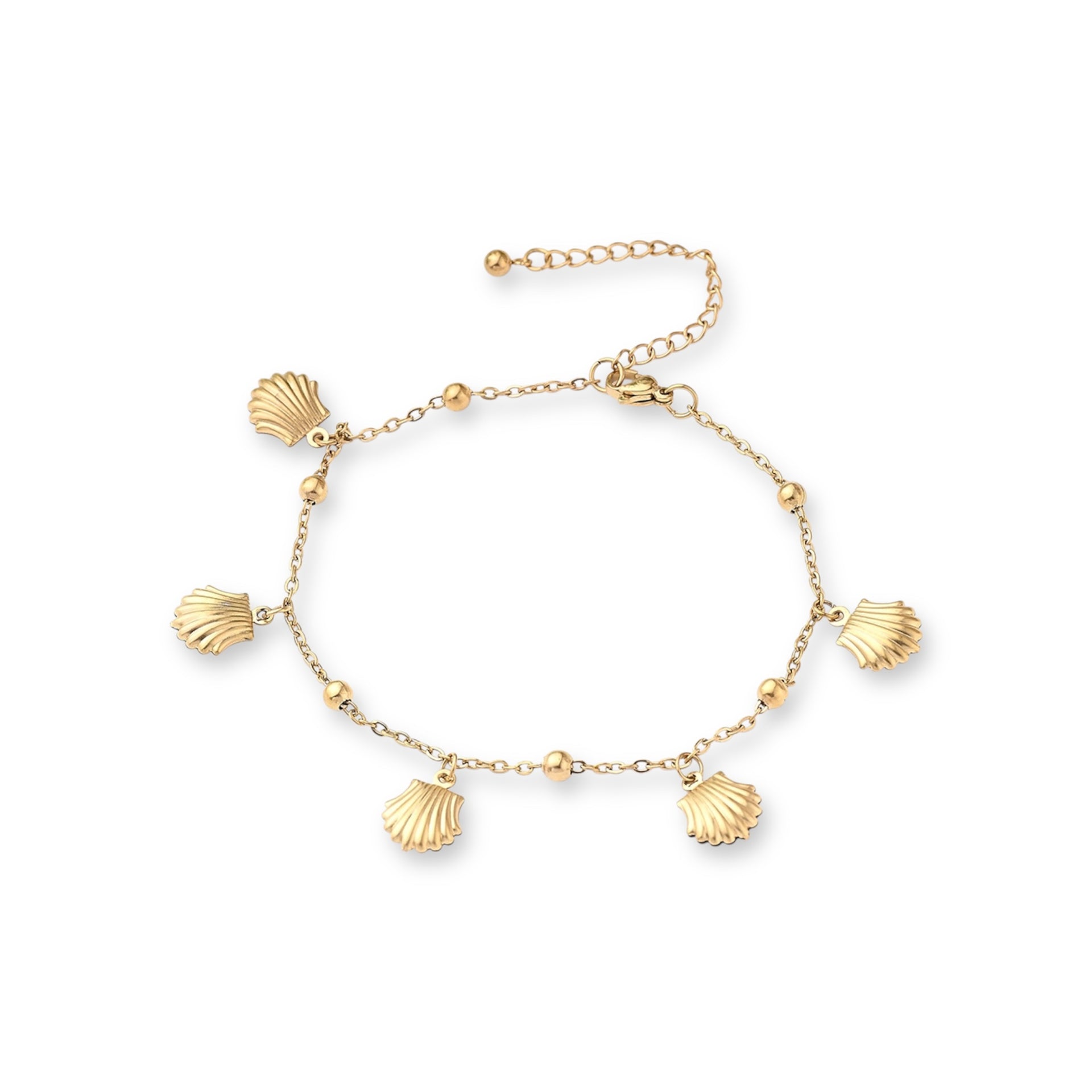 Shell Anklet