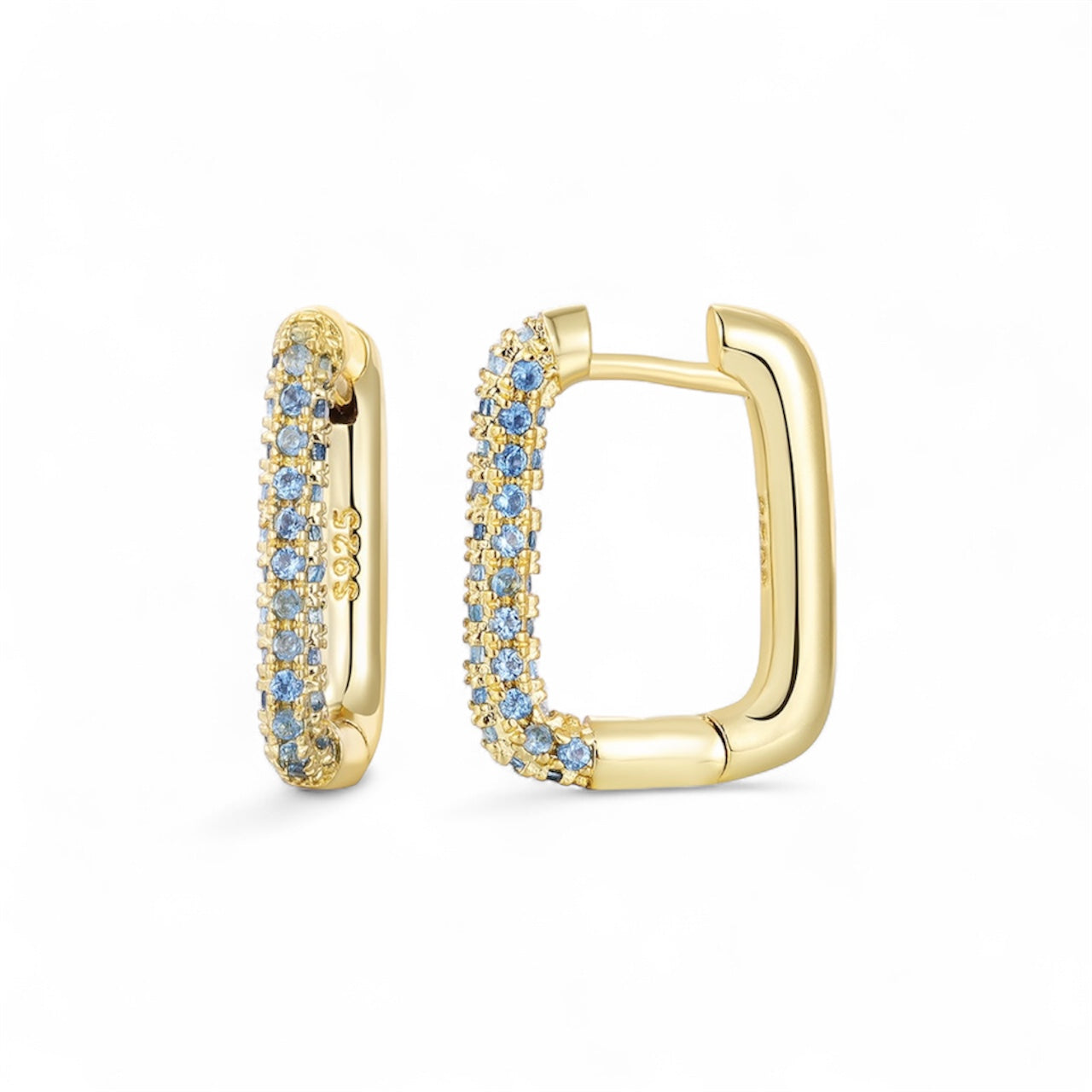 Giorgina Earrings Hoop Style