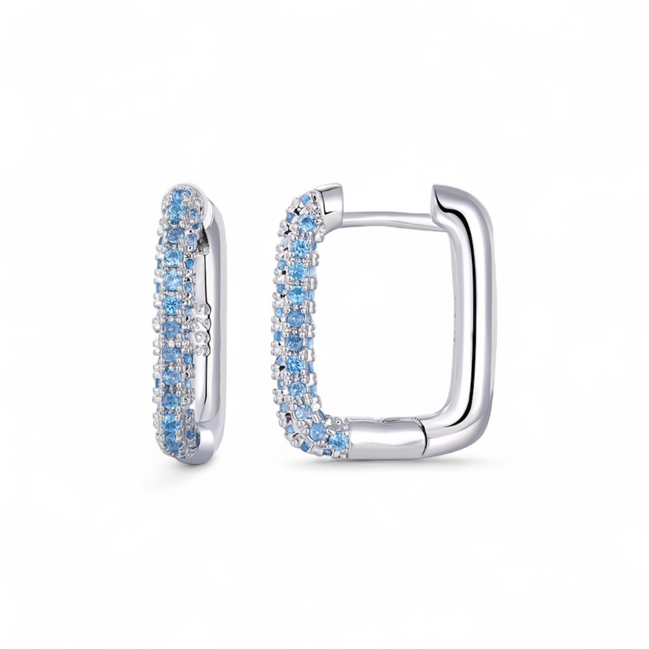 Giorgina Earrings Hoop Style